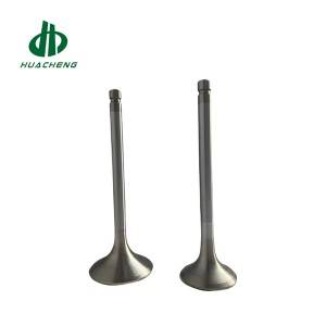 Lowest Price for Engine Valve For C9 - Mercedes Benz OM902, 904 – Huacheng