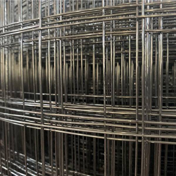 Welded wire mesh Featured Image