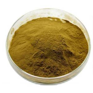 Cheap Wholesale Boldo Leaf Extract Manufacturers - Emblica extract Extract – Kindherb