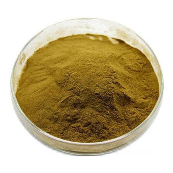 Cheap Wholesale Boldo Leaf Extract Factories - Orchid Extract – Kindherb detail pictures