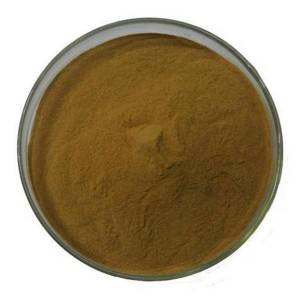 Cheap Wholesale Bacopa Monnieri Extract Bacosides Factories - Devil’s Claw Extract – Kindherb
