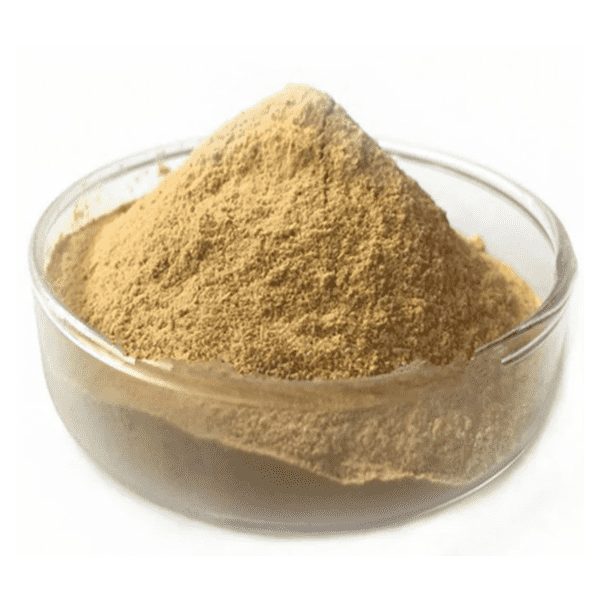 Cheap Wholesale Astragalus Extract Astragalosides Manufacturers - Nettle Leaf Extract – Kindherb Featured Image