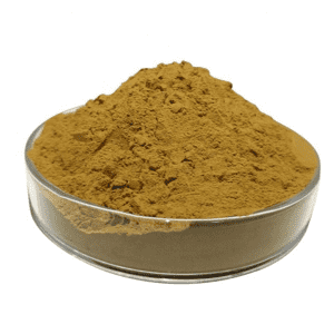 Cheap Wholesale White Kidney Extract Manufacturers - Clerodendranthus spicatus extract – Kindherb
