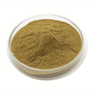 Cheap Wholesale Dandelion Extract Suppliers - Coleus Forskohlii Extract – Kindherb