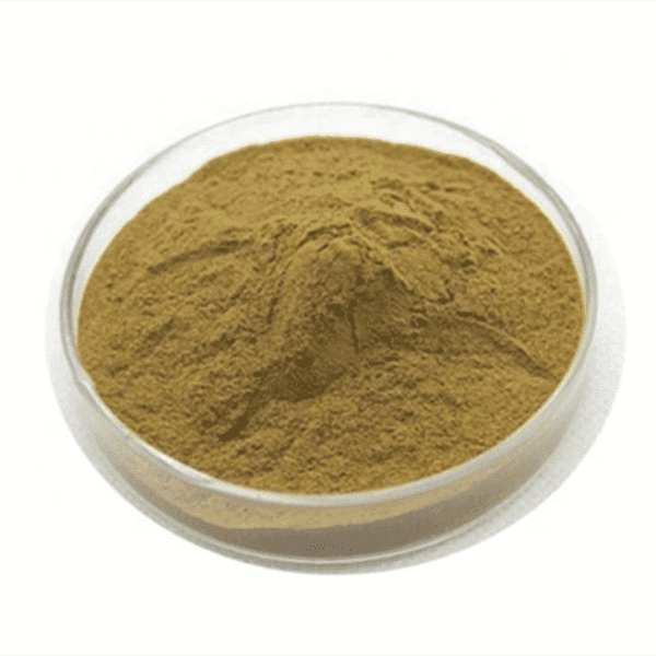 Cheap Wholesale Marigold Extract Zeaxanthin Manufacturers - Coleus forskohlii extract – Kindherb