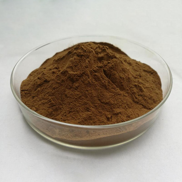 Cheap Wholesale Cocoa Extract Factories - Arctium Lappa Extract  – Kindherb