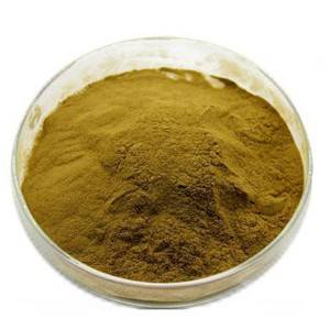 Cheap Wholesale Hypericum Perforatum Extract Manufacturers - Alisma plantago extract  – Kindherb