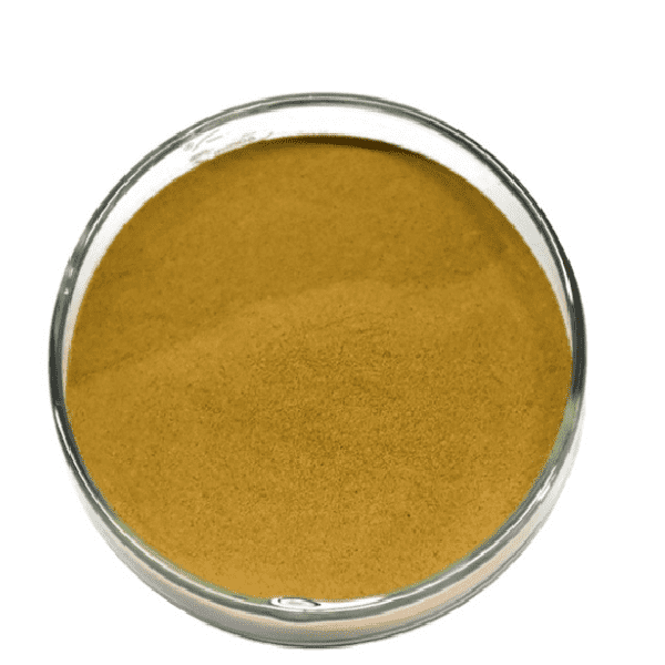 Cheap Wholesale Rosa Canina Extract Suppliers - Angelica Extract – Kindherb