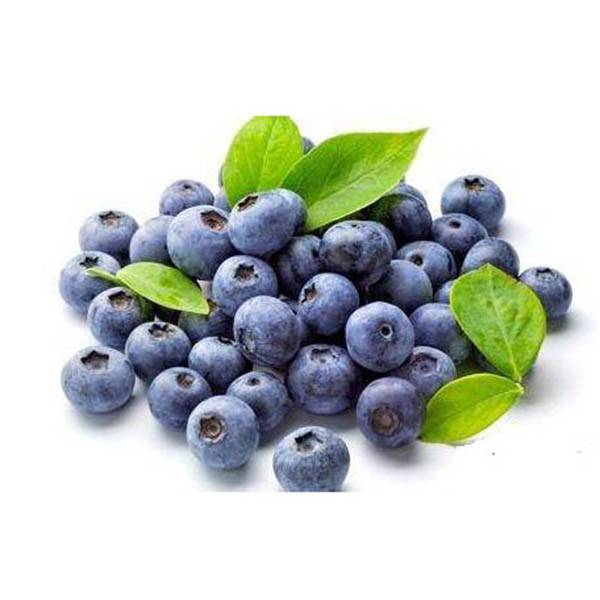 Cheap Wholesale Andrographis Paniculate Extract Manufacturers - Bilberry extract – Kindherb detail pictures