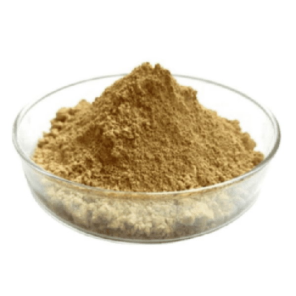 Cheap Wholesale Cinnamon Bark Extract Manufacturers - Boldo Leaf Extract – Kindherb