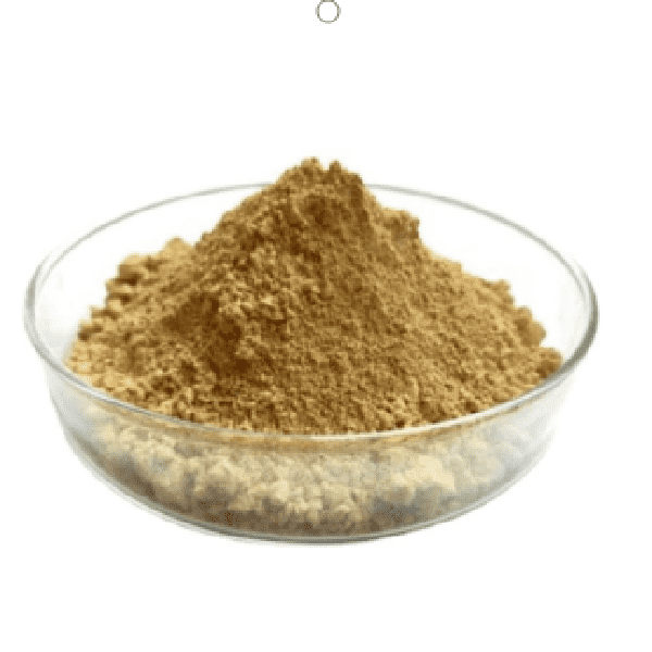 Cheap Wholesale Cinnamon Bark Extract Suppliers - Cistus Incanus Extract – Kindherb