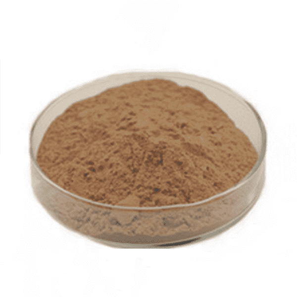 Cheap Wholesale Chlorella Powder Factories - Green Lipped Mussel Powder – Kindherb