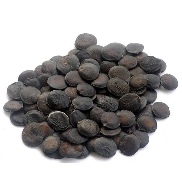 Cheap Wholesale Gotu Kola Extract Factories - Griffonia simplicifolia extract – Kindherb detail pictures
