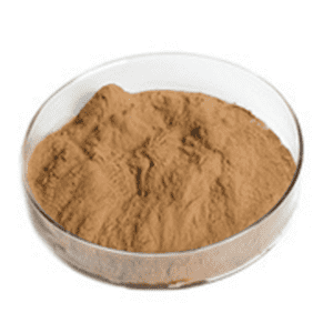 Cheap Wholesale Chaga Mushroom Extract Factories - Hericium Erinaceus extract – Kindherb