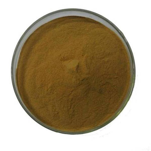 Cheap Wholesale Mucuna Pruriens Extract Factories - Orthosiphon Stamineus Extract – Kindherb