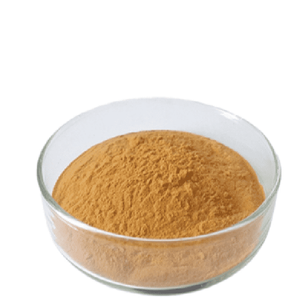 Cheap Wholesale Tilia Tomentosa Extract Factories - Rhododendron Caucasicum Extract – Kindherb