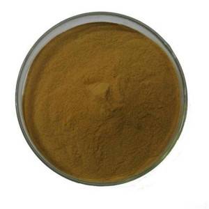Cheap Wholesale Marigold Extract Lutein Factories - Salvia Miltiorrhiza Extract – Kindherb