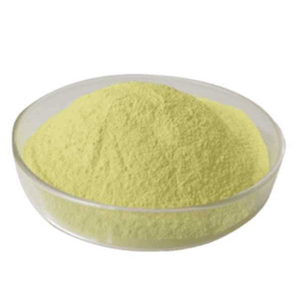 Cheap Wholesale Viola Tricolor Extract Suppliers - Sophora Japonica Extract – Kindherb