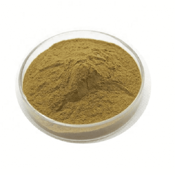 Cheap Wholesale Phyllanthus Niruri Extract Manufacturers - Trametes Suaveolens Extract – Kindherb Featured Image