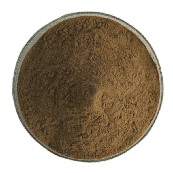 Cheap Wholesale Kava Kava Extract Factories - Ashwagandha Extract  – Kindherb