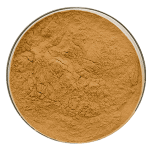 Cheap Wholesale Hericium Erinaceus Extract Factory - Mango Extract – Kindherb