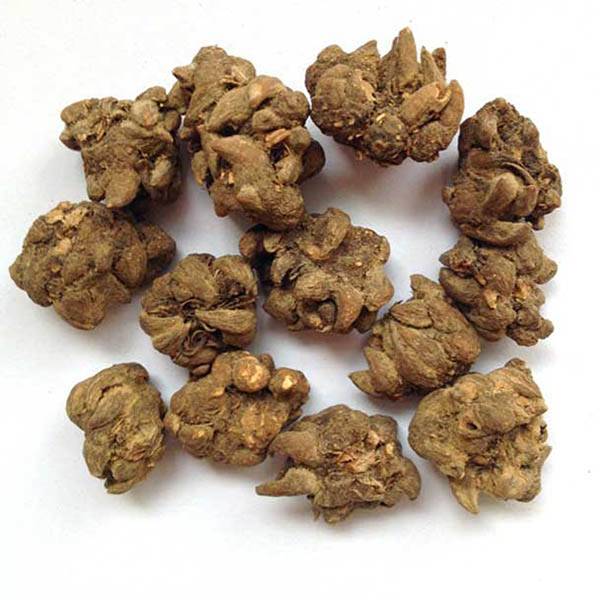 Cheap Wholesale Red Clover Extract Isoflavones Factories - Cat’s Claw Extract – Kindherb detail pictures