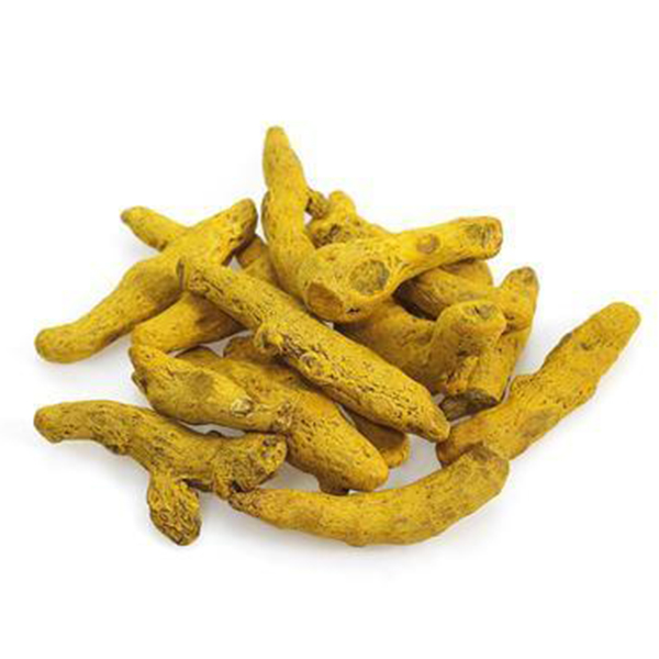 Cheap Wholesale Schisandra Extract Factories - Turmeric root extract – Kindherb detail pictures