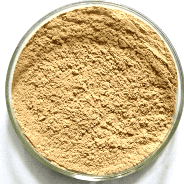Cheap Wholesale Senna Leaf Extract Suppliers - Green Coffee Bean Extract – Kindherb