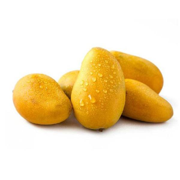 Cheap Wholesale Dioscorea Villosa Extract Diosgenin Factories - Mango Extract – Kindherb