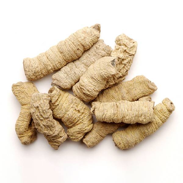 Cheap Wholesale Astragalus Extract Factory - Morinda officinalis Extract – Kindherb detail pictures
