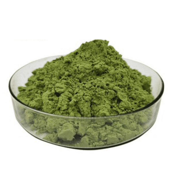 Cheap Wholesale Cordyceps Sinensis Extract Factories - Moringa Leaf Extract – Kindherb detail pictures