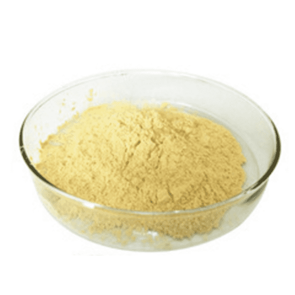 Cheap Wholesale Artichoke Extract Chlorogenic Acid Factories - Orange Extract – Kindherb