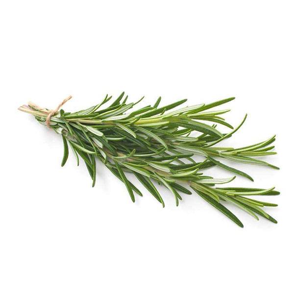 Cheap Wholesale Triphala Extract Suppliers - Rosemary extract – Kindherb