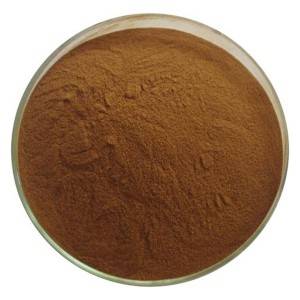 Cheap Wholesale Echinacea Purpurea Extract Factory - Green Tea Extract – Kindherb