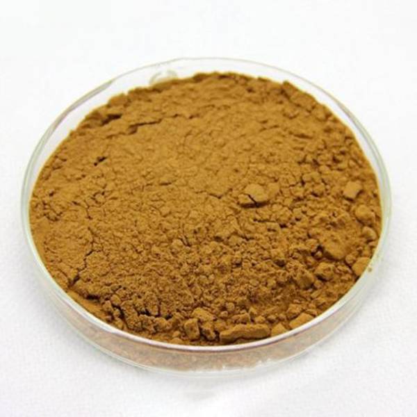 Cheap Wholesale Arcitum Lappa Extract Manufacturers - Perilla Leaf Extract  – Kindherb