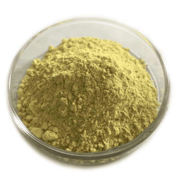 Cheap Wholesale Betula Pendula Extract Factories - Scutellaria Baicalensis Extract – Kindherb