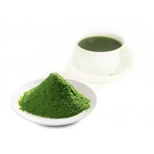 Cheap Wholesale Green Lipped Mussel Powder Factories - Wheat Grass Juice Powder – Kindherb