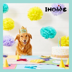 Medium Dogs Lion Headwear - Dog Birthday Hat Cap Pet Crown Party Supplies Decoration – Ihome