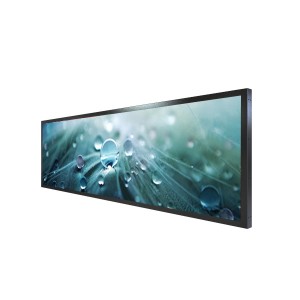 LYNDIAN 24.5 inch Stretched LCD Display