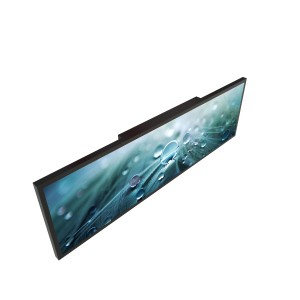 LYNDIAN 24.5 inch Stretched LCD Display