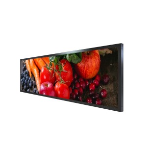 LYNDIAN 19.5 inch Stretched LCD Display