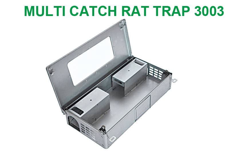 Multiple Catch Rat Trap with Clear Inspection Window