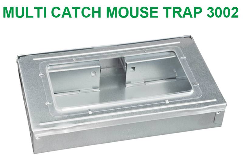 Multiple Catch Mouse Trap with Clear Inspection Window
