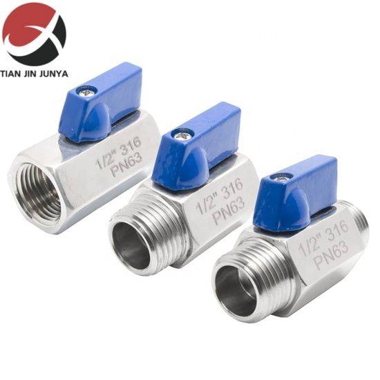 Whole Range Series Stainless Steel Material FF Mini Ball Valve