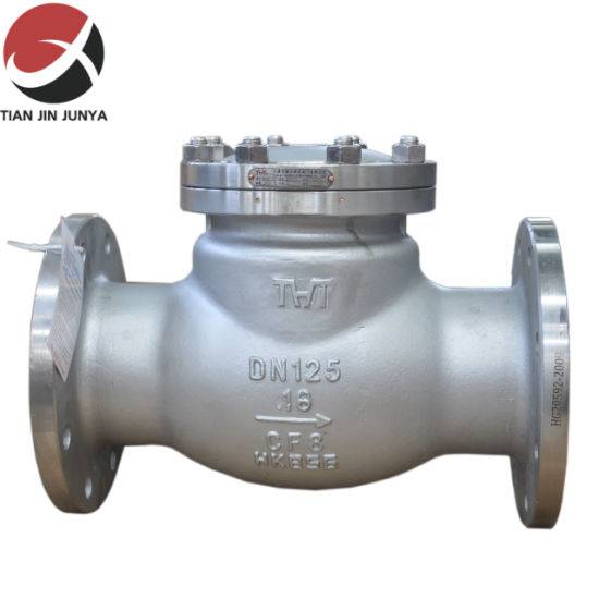 Vertical Horizontal Water Full Opening Swing Wcb or Stainless Steel Investment Casting Flange Non Return Check Valve