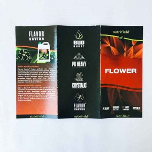 Full Color Booklet Custom A4/A5 Flyer Printing Leaflet