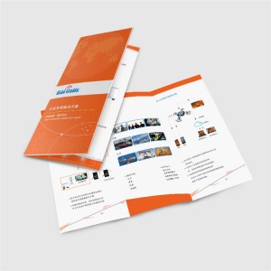 Custom Folded Leaflet Flyer Printing Service