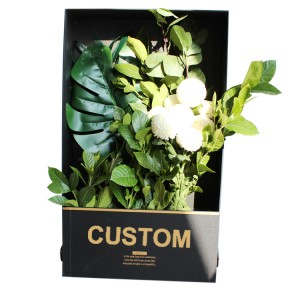 Reasonable price Cosmetic Box Printing - Custom luxury Printing Black velvet Cardboard cardboard boxes for plants – Knowledge Printing