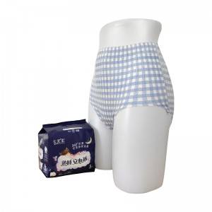 Amazon Hotsale Best Sanitary Napkins with Pants Style
