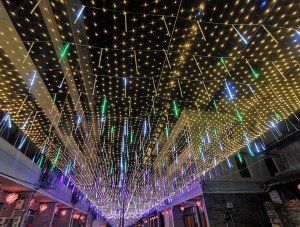 LED Christmas lights,Decorative lighting,Net lamp